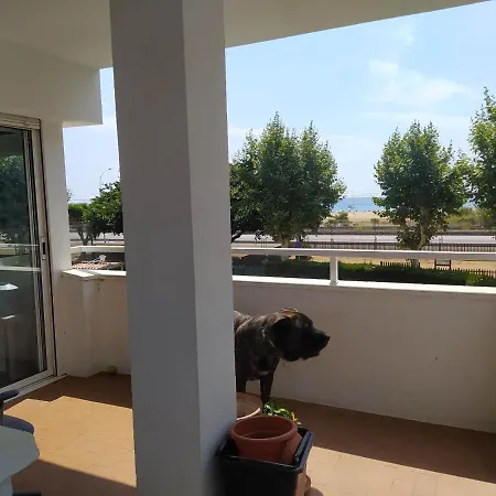 Bed and breakfast Primera Linea De Mar Y Piscina A 20 Minutos De Barcelona *